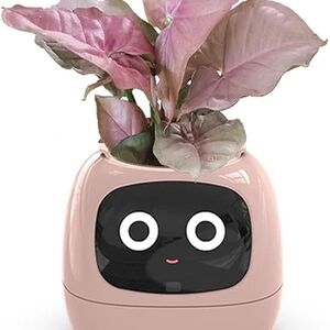 Pink Planter with Face Design